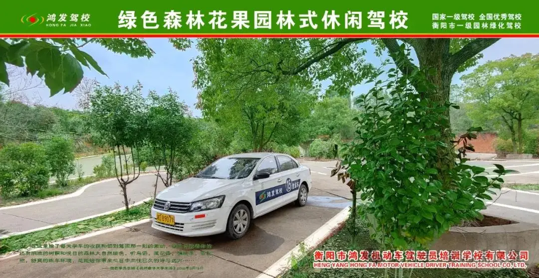学自动挡开车视频教程_开车挂挡视频_开车的挡怎么用
