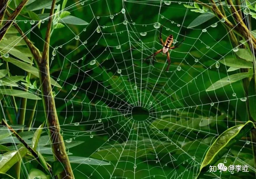 洪荒之妹控伏羲txt下书_洪荒伏羲小说_洪荒伏羲成圣txt