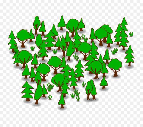 国产番剧排行榜前十名_排行榜国产剧名前50_国产剧top1