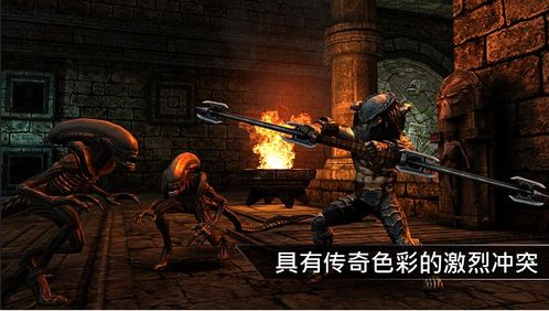 nightgamer游戏网瘾少女 
