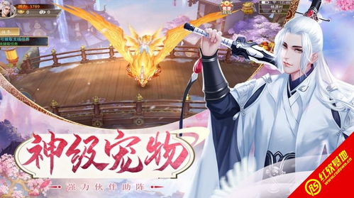 月神直播官方版下载安装 