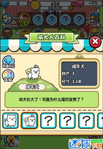 中小学辅导班HD 