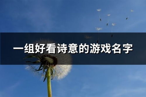 令人满意的谜题