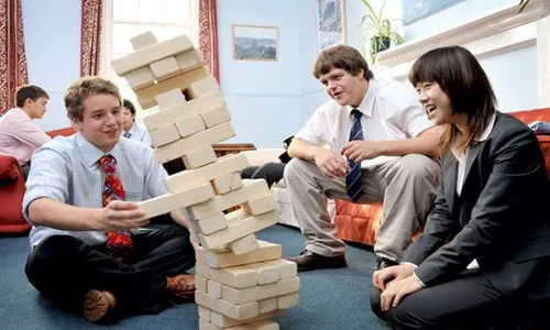 五魁首我的留学生活2 