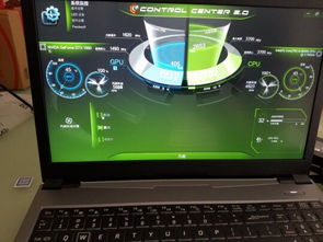 什么什么里奥冒险