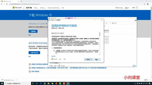 u盘windows10系统工具,轻松实现系统安装与维护
